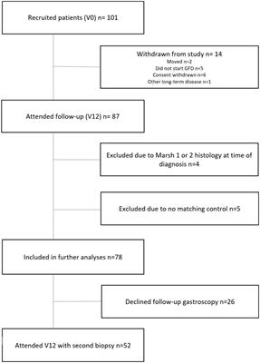 Less, but not gone—gluten-free diet effects on fatigue in celiac disease: a prospective controlled study